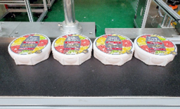 Automatic labeling machine