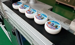 Automatic labeling machine